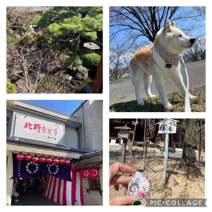 3685a04e 0e5d 483c a14c ea330772810c 1679299640760