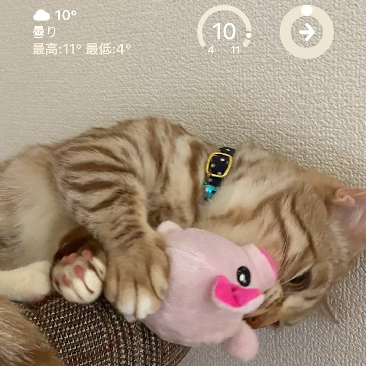 3685af16 c039 4ff8 86ae d2a18e61ed95 1677986322092