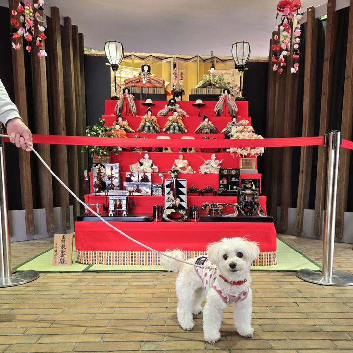 3685db0a bddb 4942 a178 c245283c2511 1772549924986