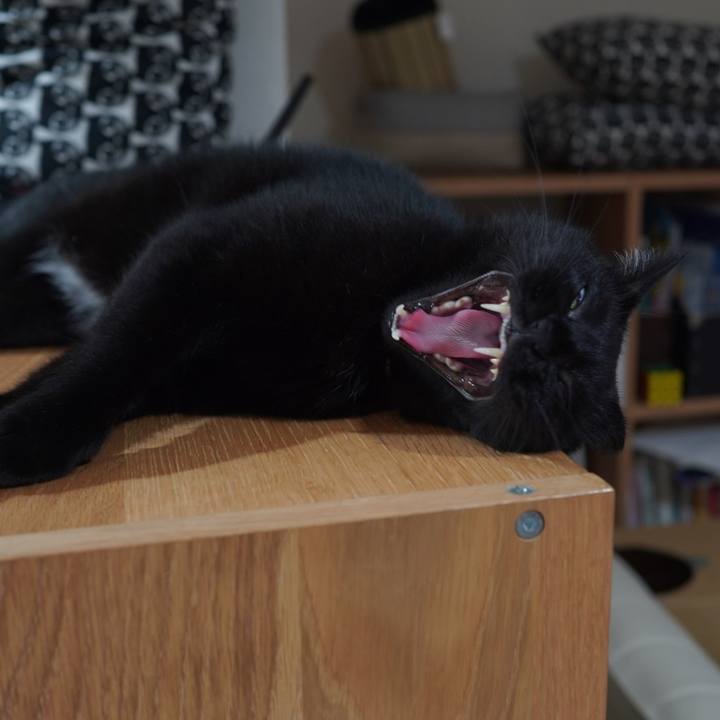 36860d7d 97be 417d a907 cce19ea794b7 1600523978324