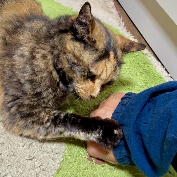 368610fe 3582 4984 90b4 25ea41be0fe3 1749758155521