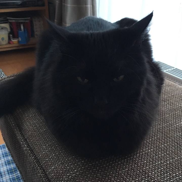 368652c2 8368 4e8c 9adf ef72719a18d9 1515132166951