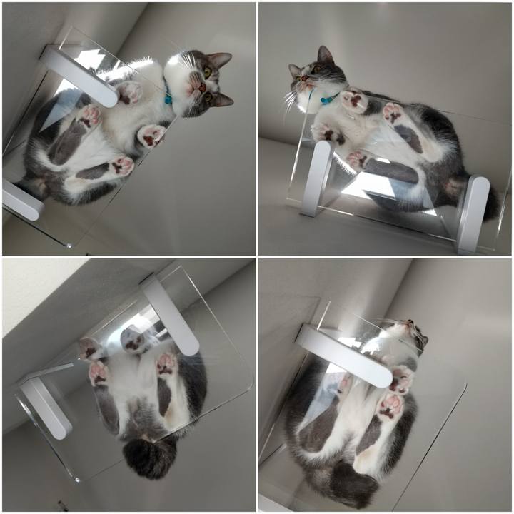 36865f0a b062 4d7f ab1f 8e5c8fb1a6d6 1646443507106