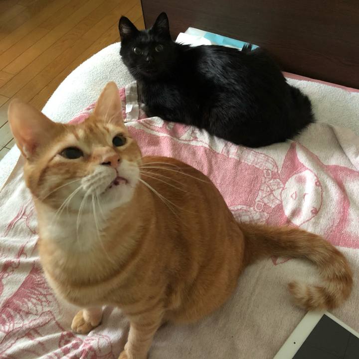 36867aff 3d80 45d9 b4a1 e28a111db272 1568495011992