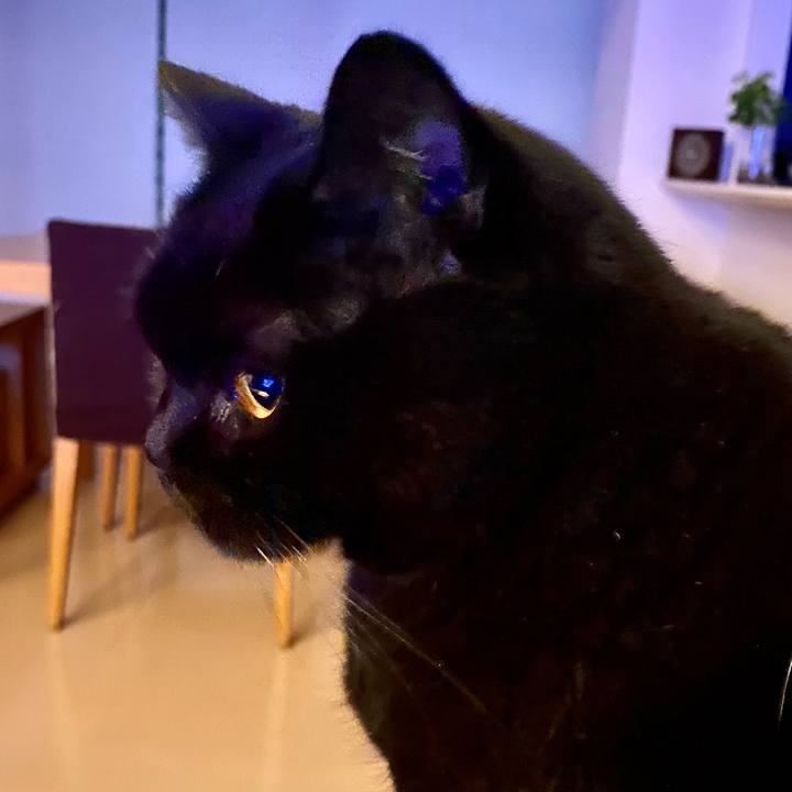 36868f2b 6fde 48a3 858b 54f27b239a85 1700049033960