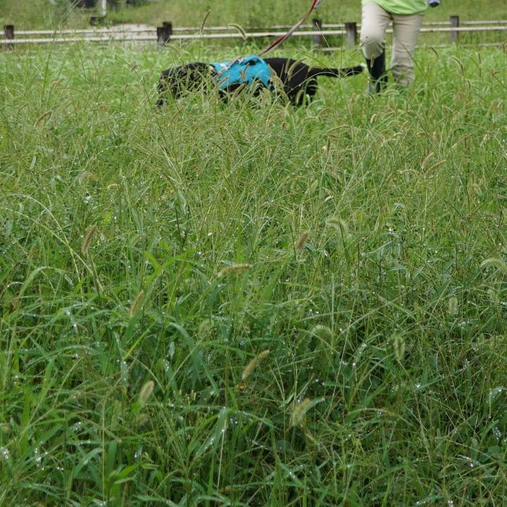 36869aa0 c80a 4cf3 ad04 9afe15723c82 1759276315088