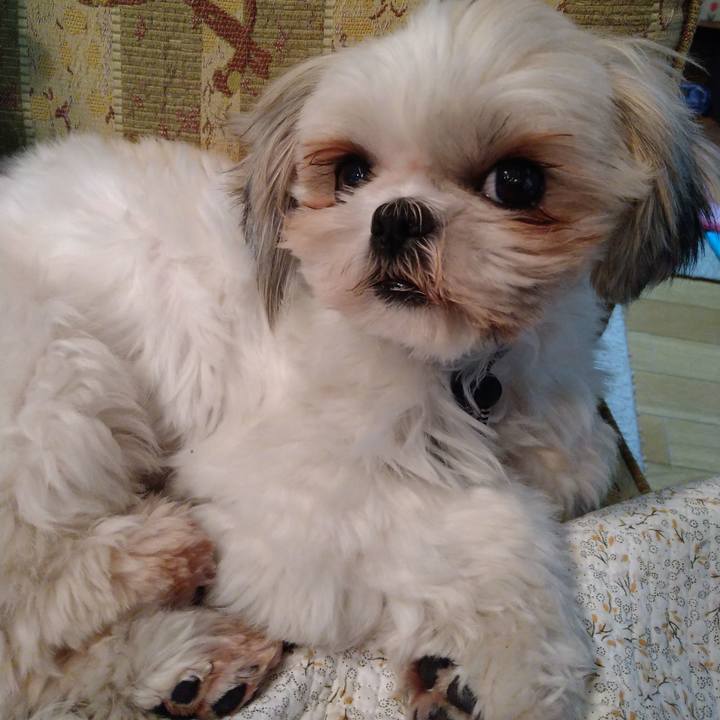 3686a916 4151 41b4 856e d6af5817d4b3 1608542873853