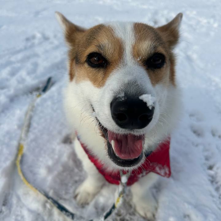 3686a967 e0db 44ef a4ef 19e756430e08 1769311364636