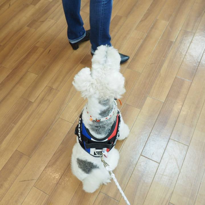 3686b1b7 97dc 4789 b6cb 0d7e1528859d 1539349411903