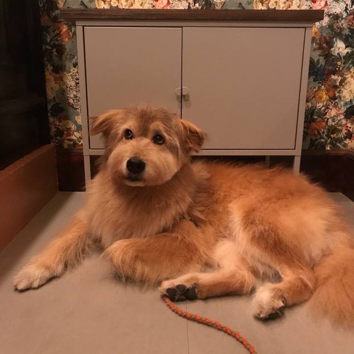 3686b758 24b0 4141 bdc6 6750b9dfdcda 1543231597061