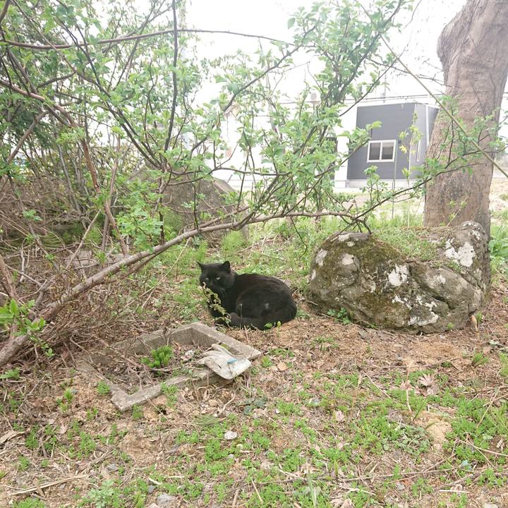 3686ec1c d202 4b9c a7b0 90407ad8b775 1650805003540