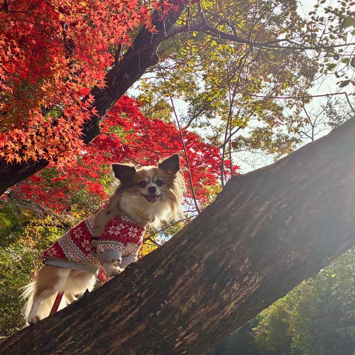 36870711 65a4 4130 b457 16eb757dbc02 1763962372389