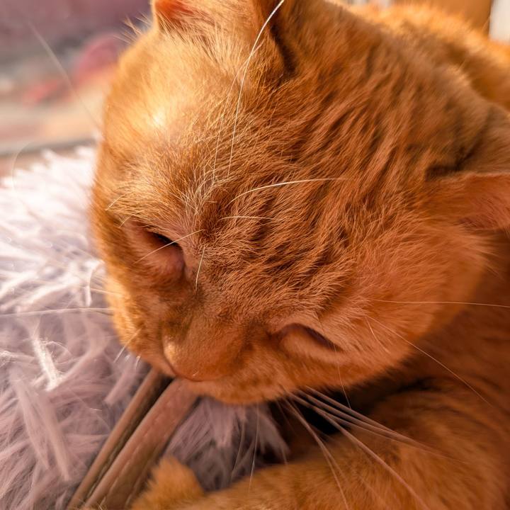 36872125 9b94 43ce b47e 7e29fc388bfa 1773450114880