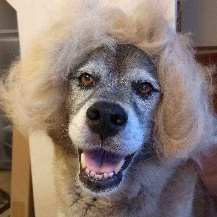 36872f14 f272 4ff8 99af 731e6c2371ea 1723074414369