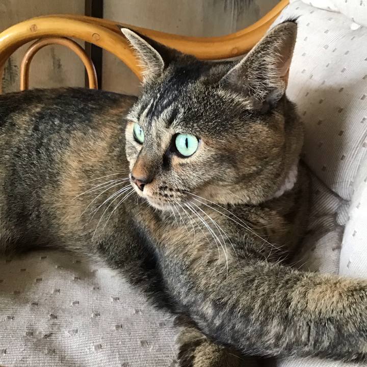 368741ca 6b94 4e09 af80 84b145eab3d2 1756084718253