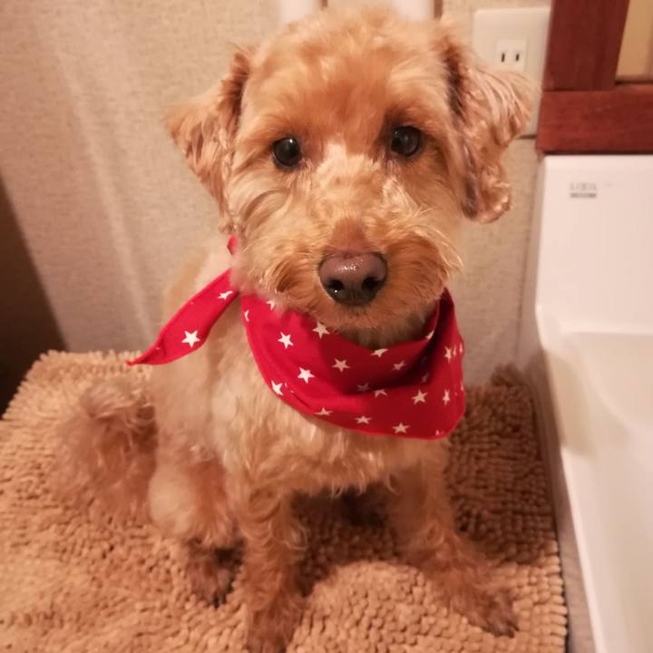 368761f6 e328 4a94 b9ed fed4e94692b6 1552130704659