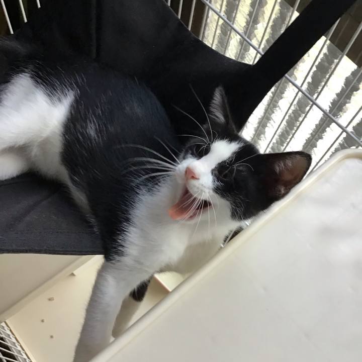 368770dd e588 492f ab48 fa84a0f64d58 1626420809497