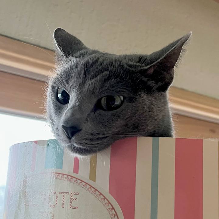 36879480 3eb5 4068 b6dc 4443a5ad6b8e 1644991028133