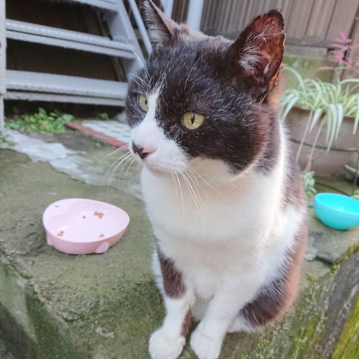 3687d30e 963f 490c bcd1 96f997304906 1681635421365