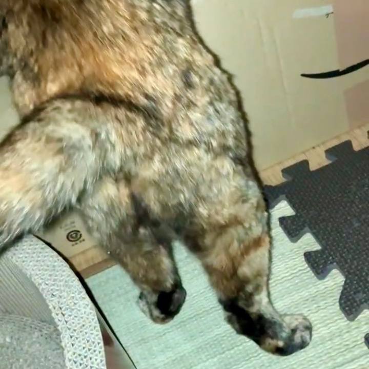 3687edd6 73f4 468d 868d 36cb96b935e0 1731668178178