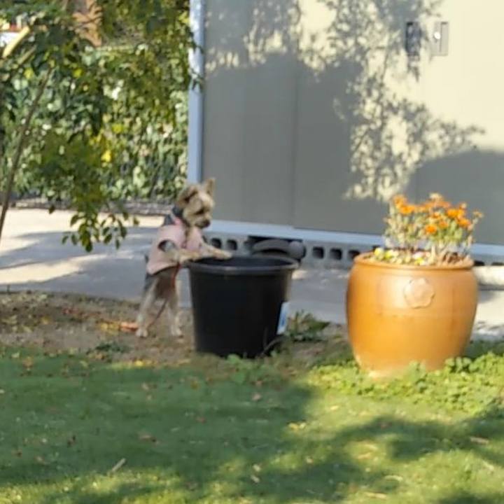 3688498f 3194 4a7f 8c18 4139ae6e277d 1668073936807