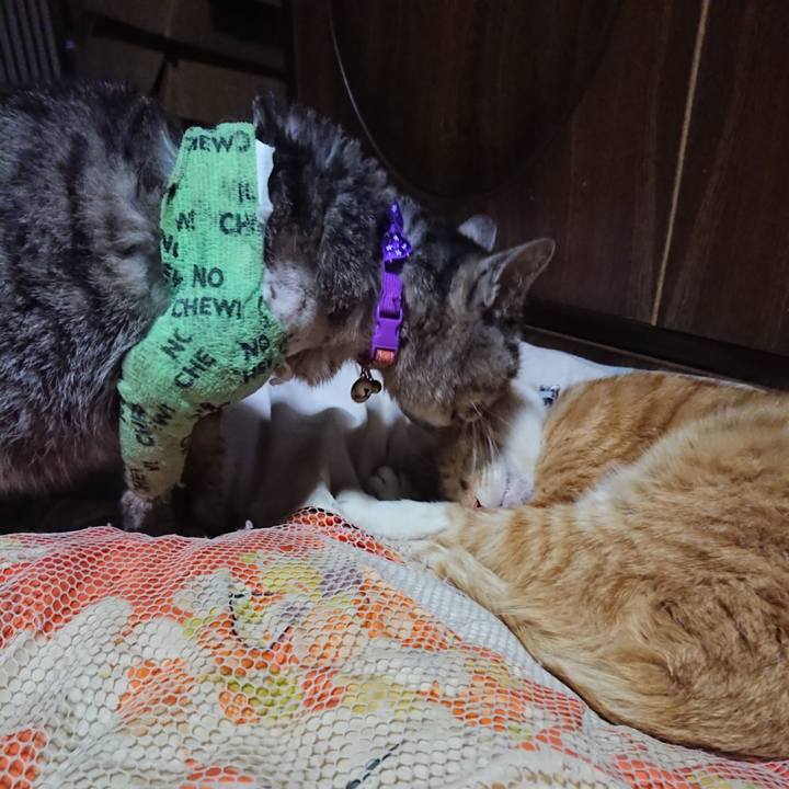 36888800 d76b 44f2 812f 9dfe5be3cc3b 1587558682084