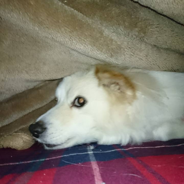 36889652 72e6 41bf 8600 e860e652a5e1 1516394747206