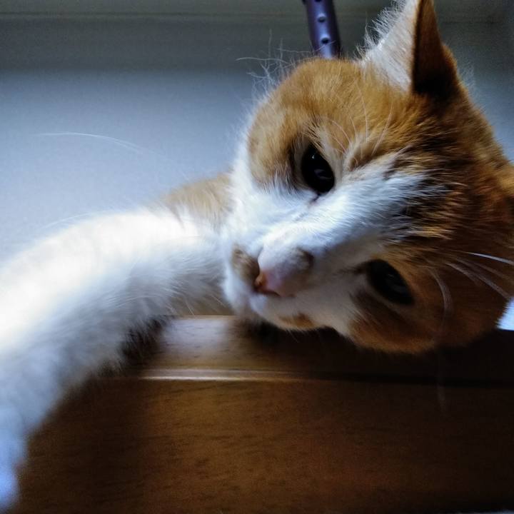 3688997c 84d5 4627 9b53 5157c56835d4 1579727436995