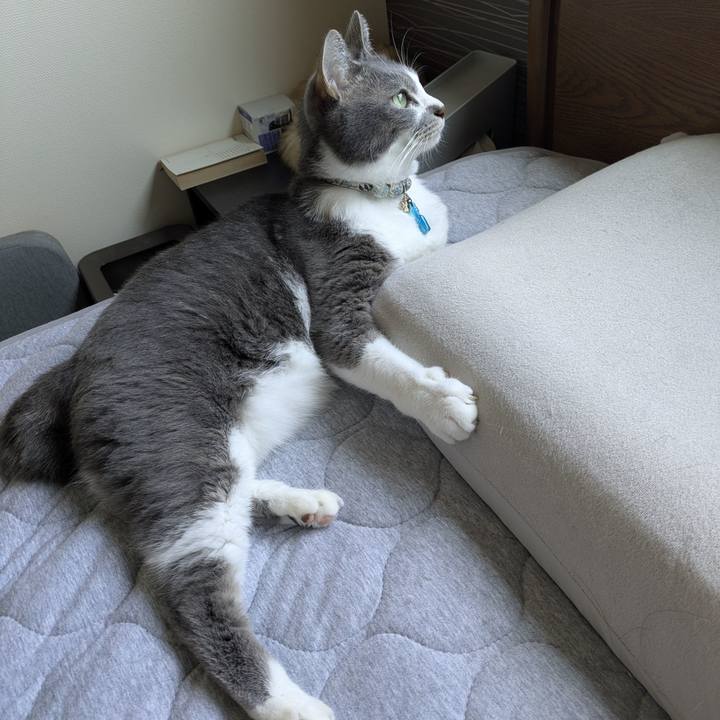 3688b9f3 c7cf 49c4 9efb 29d2c893ca98 1756258006950