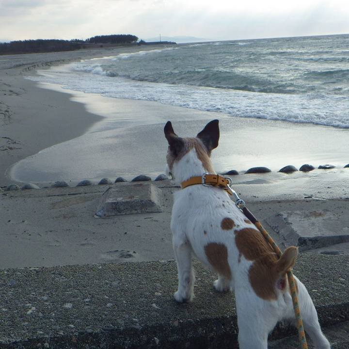 36891481 bd83 4ac2 9f3a 64a34141e478 1553865712034