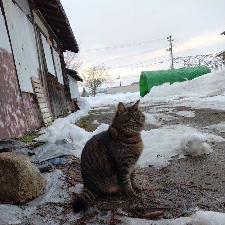 36891f90 710b 4a46 8674 e37d52175580 1673220557575