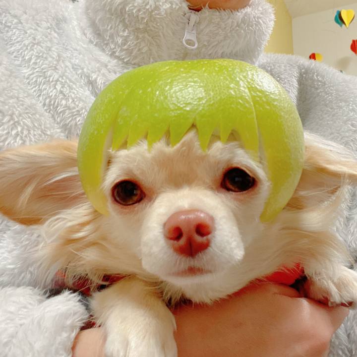 368934ad eca8 4445 80cd 876f0a0fa0e2 1639811404183