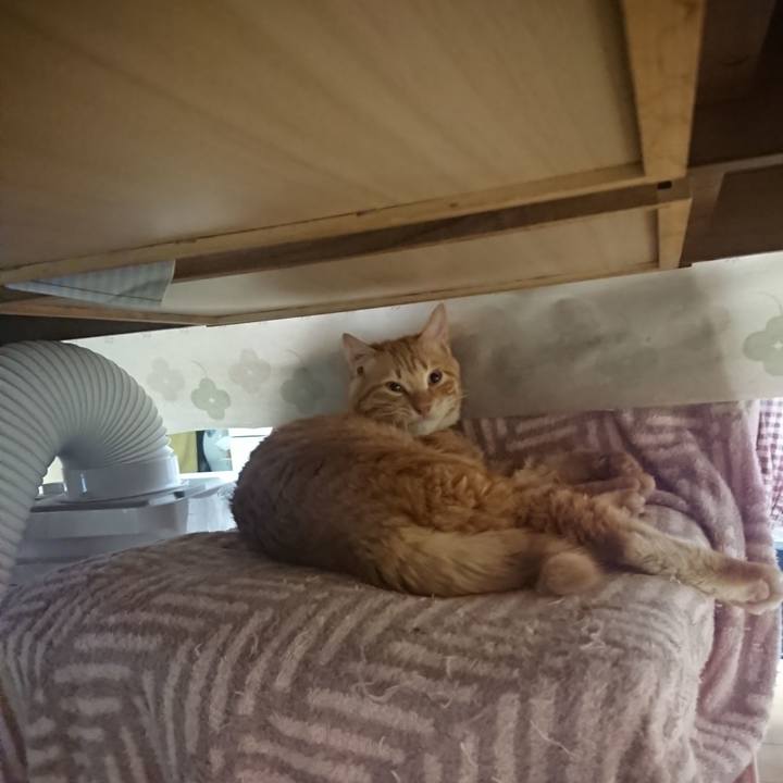 36894182 3695 4444 ad62 40c11ce197a5 1642889818525