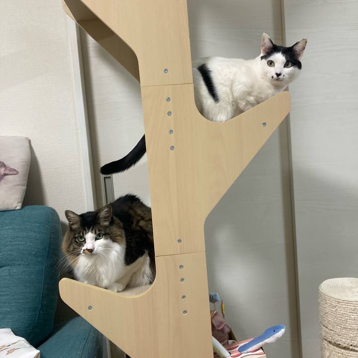 368975a4 ed1c 440f 9195 e9aeff77fcf3 1767301766453