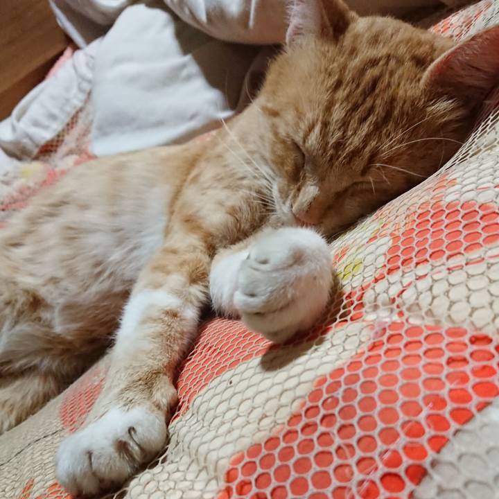 36897af6 1920 4ef5 997f 99a7e119702e 1561121728522