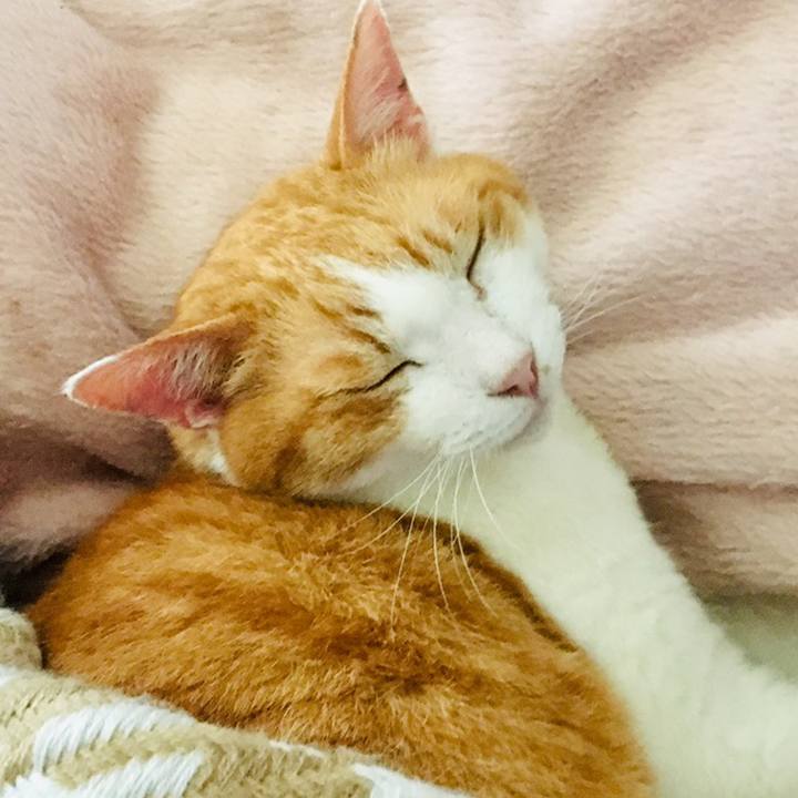 3689a24b ac6c 48bf 87ff 479c2a0b4c36 1560480463494