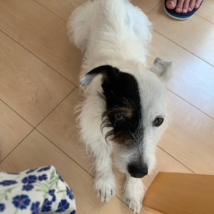 3689ca66 1a8f 4681 8c4b 242271b0b4ce 1689497324956