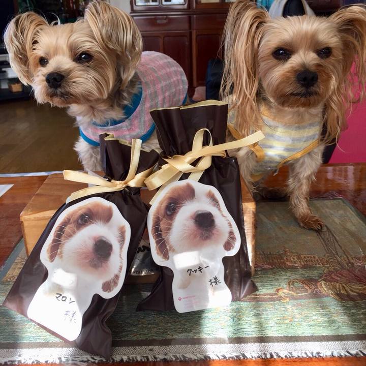 3689dd37 5e7f 4bf5 a9fa d9411086c89c 1525660142047