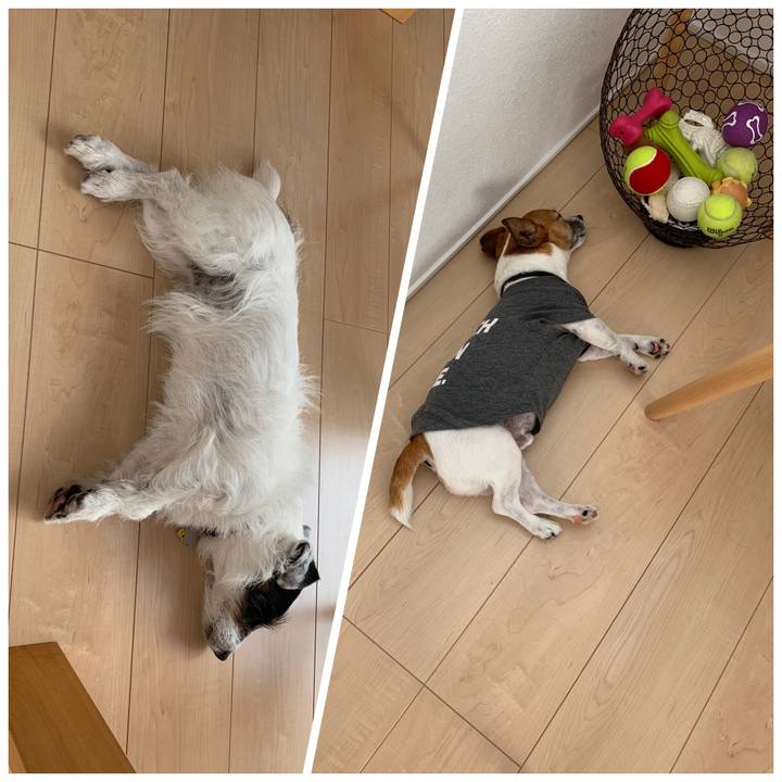 3689dd72 d015 43c6 8c43 f5a287690823 1561511418938