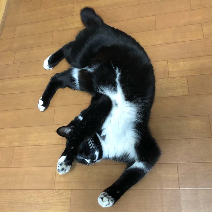 368a39a5 f7b7 4fee a7c4 03dc5b7f083b 1613620152033