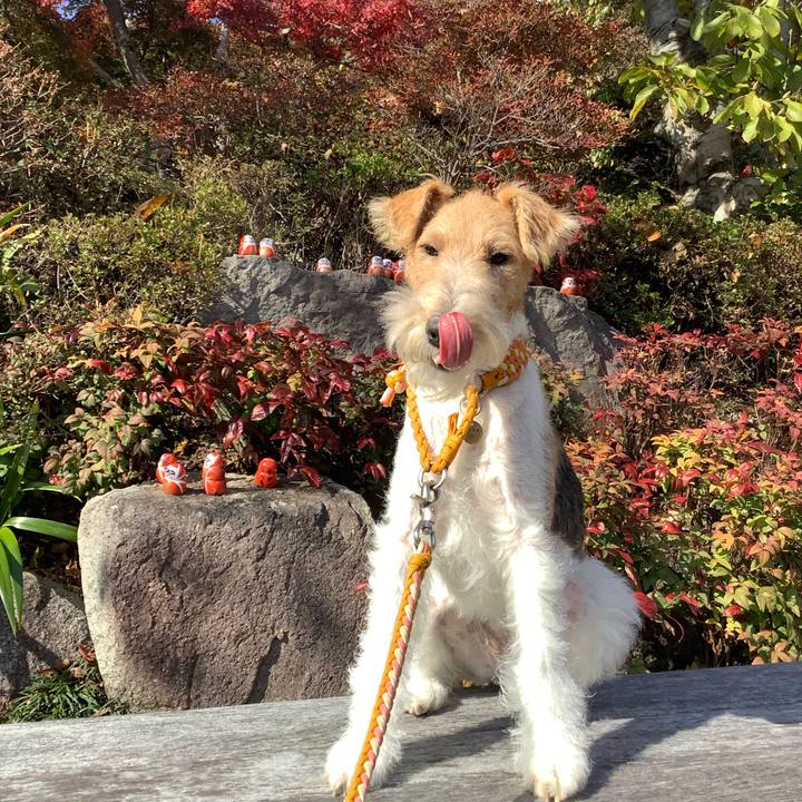 368acc56 2db9 4b9f 9abf 113986650a10 1763112486800