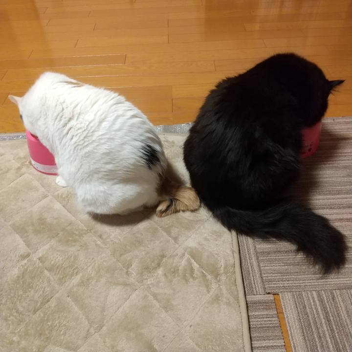 368add6d 8cb5 4515 a36b 07607b592915 1652963178210