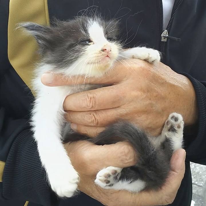 368af31d 081b 4200 bb9c ee59e3f84ea9 1557728499781