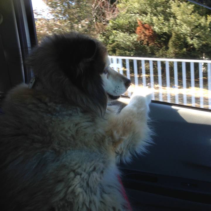 368b210d 8c54 48c6 8a81 7bccaa99e97c 1620259851616