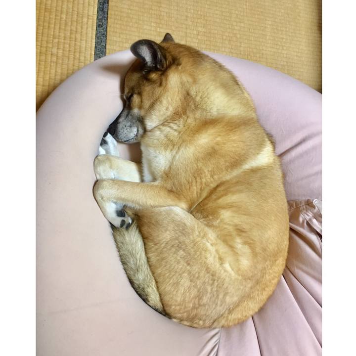 368b6168 2b9c 4dcb 9c65 d3717fdb7b87 1552041322439