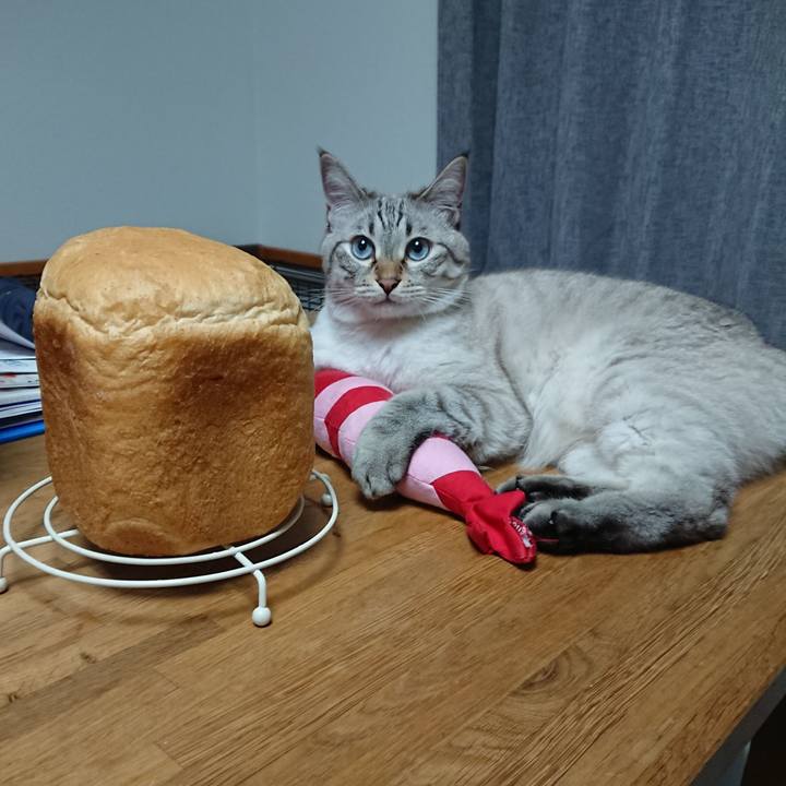 368be40b dbe2 4223 83db c2263888b280 1567252981828