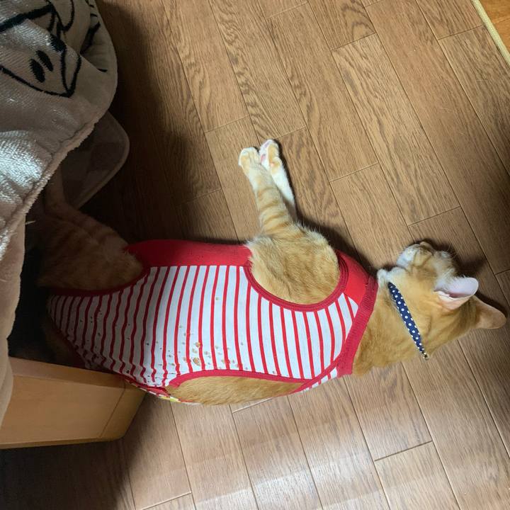 368c2922 974c 43ae bd47 53ff83074e53 1583067548660