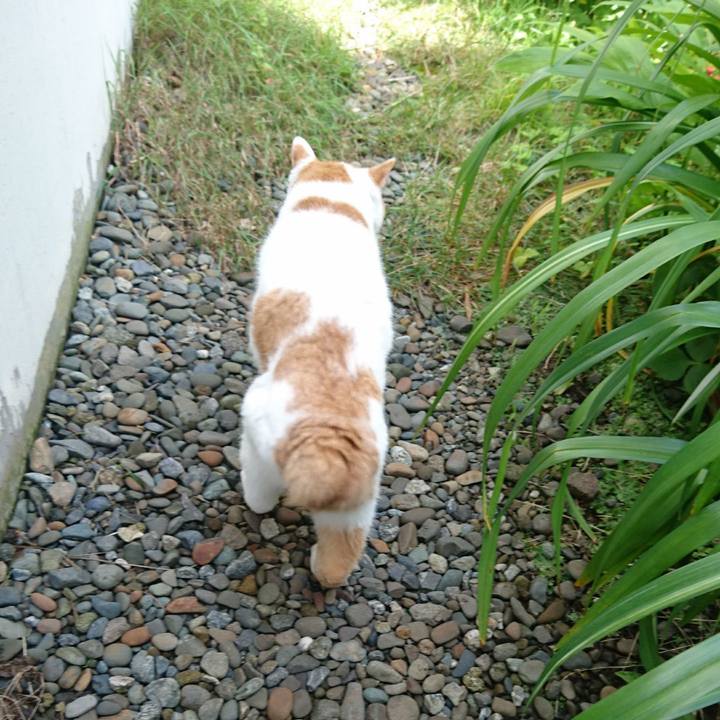 368c3f39 a975 45d7 a402 7ff52a755326 1644120118916