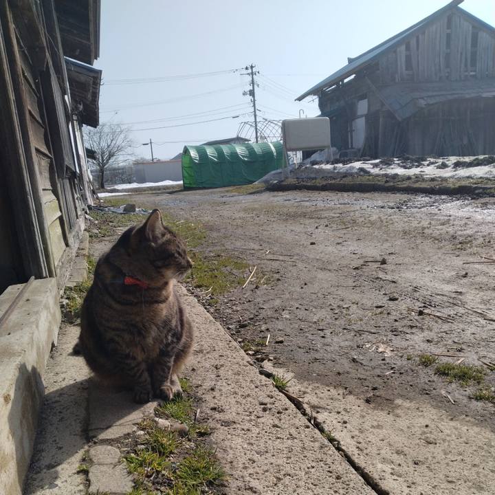 368c8178 5afb 4abe ab57 f53c615be203 1678500639992