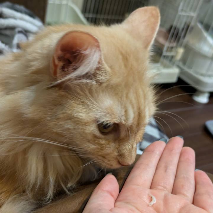 368c857c 3206 44a2 8fc5 d98c79e40dcc 1726322726552